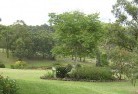 Abernethyresidential-landscaping-40.jpg; ?>